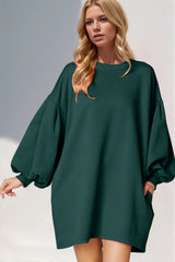 Lantern Sleeve Mini Dress