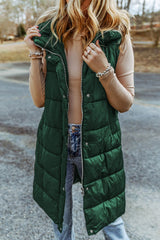 Hooded Sleeveless Puffer Vest