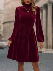 Velvet High Neck A-Line Dress