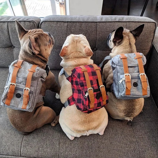 Dog Self Backpack Harness