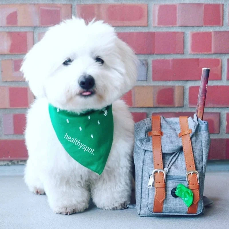 Dog Self Backpack Harness