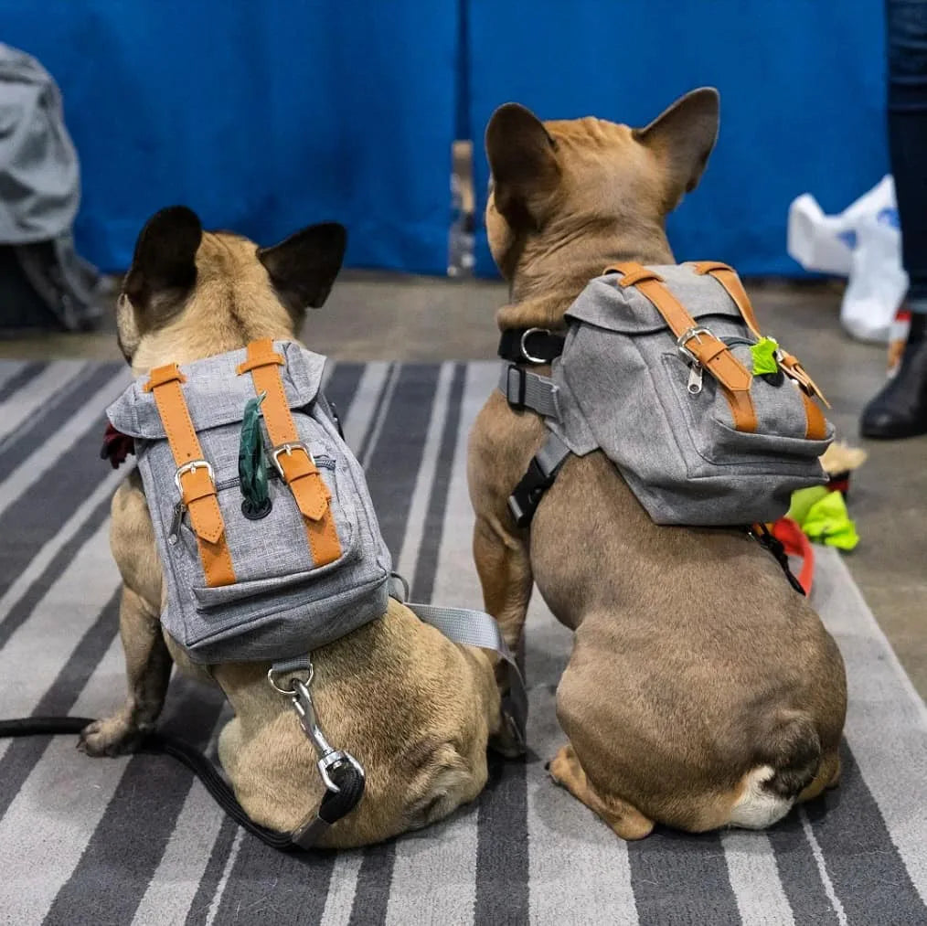 Dog Self Backpack Harness