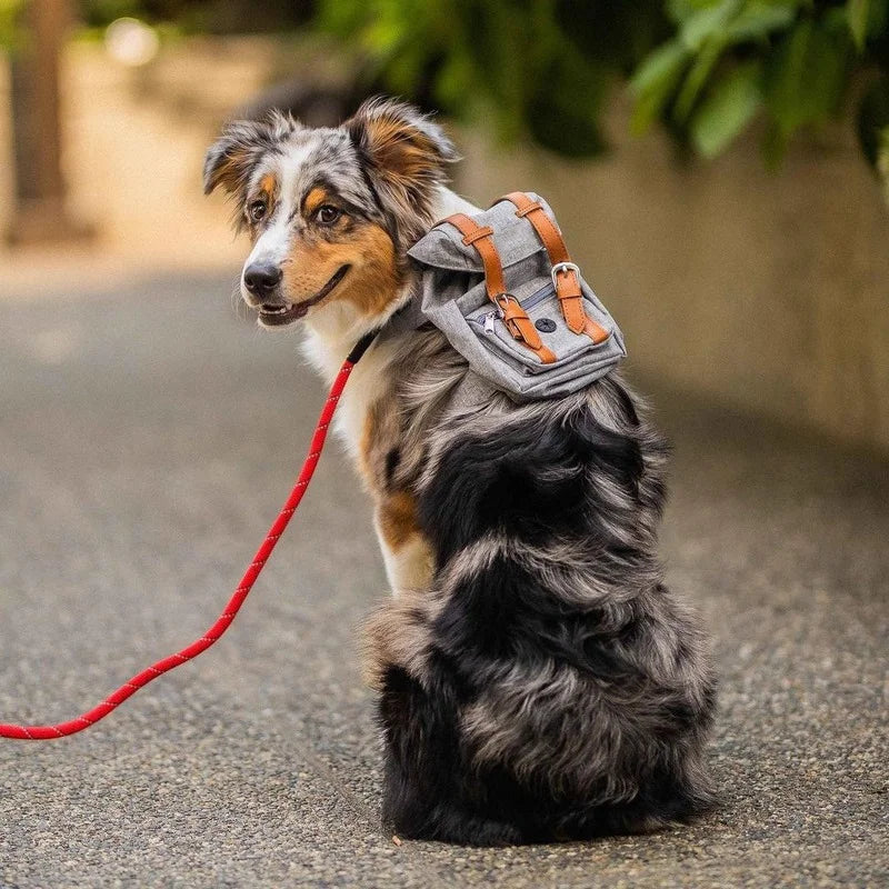 Dog Self Backpack Harness