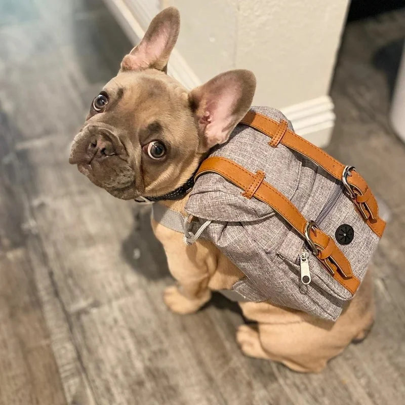 Dog Self Backpack Harness