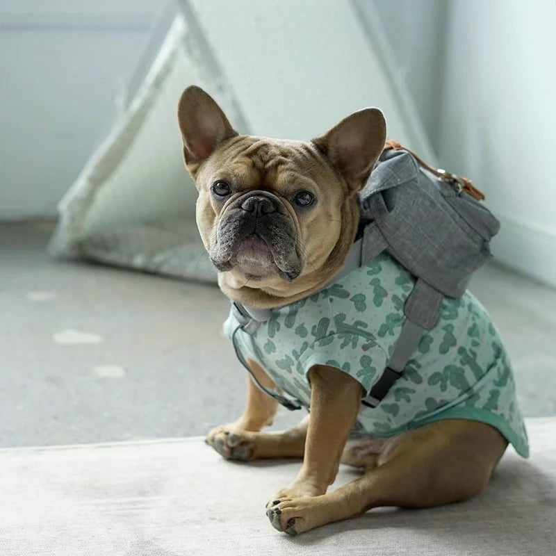 Dog Self Backpack Harness