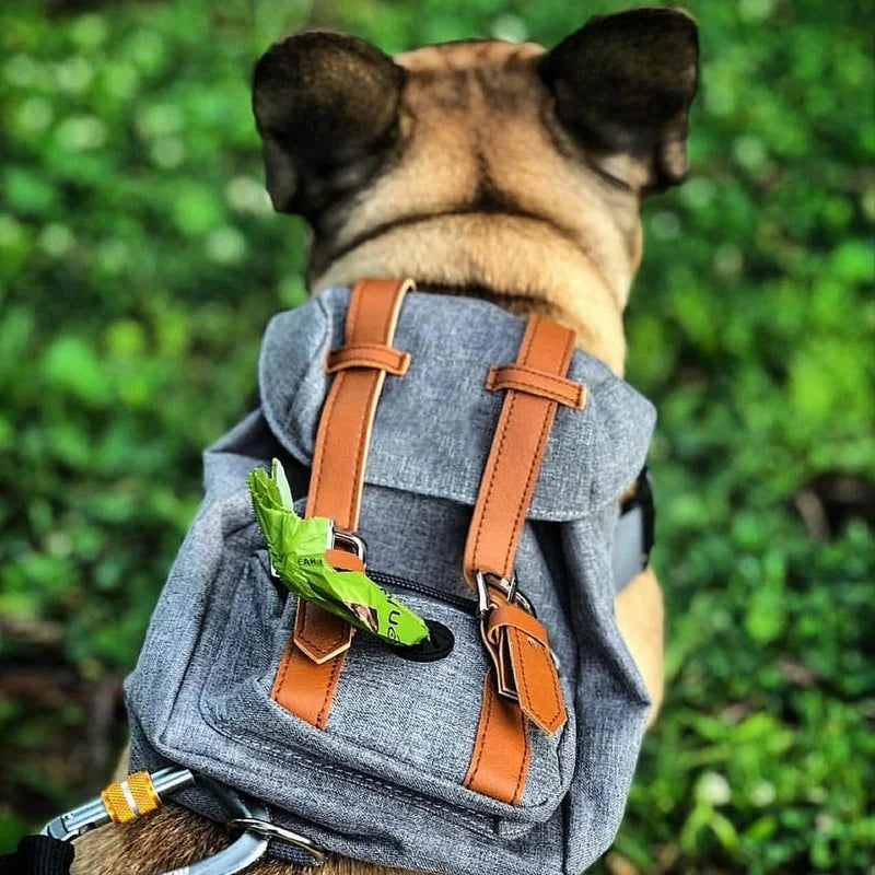 Dog Self Backpack Harness