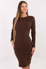 Long Sleeve Pencil Mini Dress