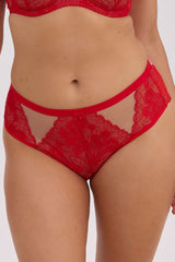 Gaia Full Briefs with Transparent Tulle Inserts