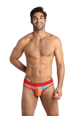 Men's Multicolor Briefs