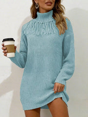 Turtleneck Fringe Detail Sweater Dress